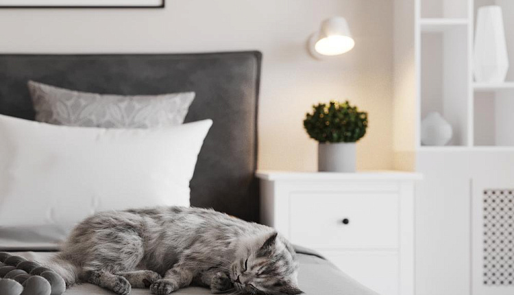 Спальня по проекту @designstudio09. ЖК Прилесный  